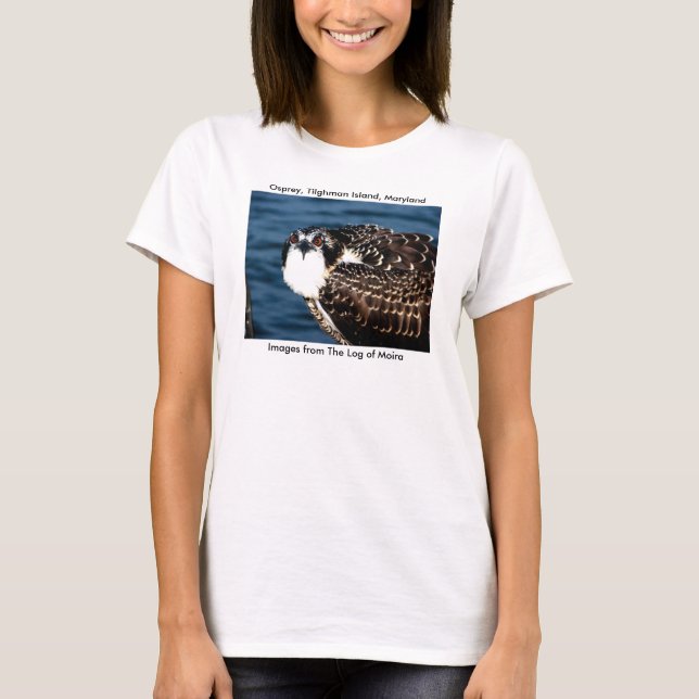 Osprey, Tilghman Island, Dogwood Harbour, Maryland T-Shirt (Front)