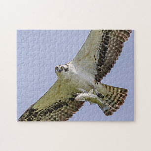Osprey with a fish jigsaw puzzle