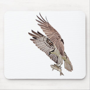 Osprey with a fish mouse pad