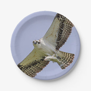 Osprey with a fish paper plate