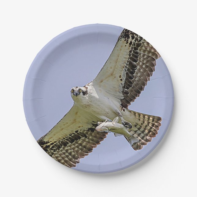 Osprey with a fish paper plate (Front)