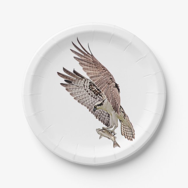 Osprey with a fish paper plate (Front)