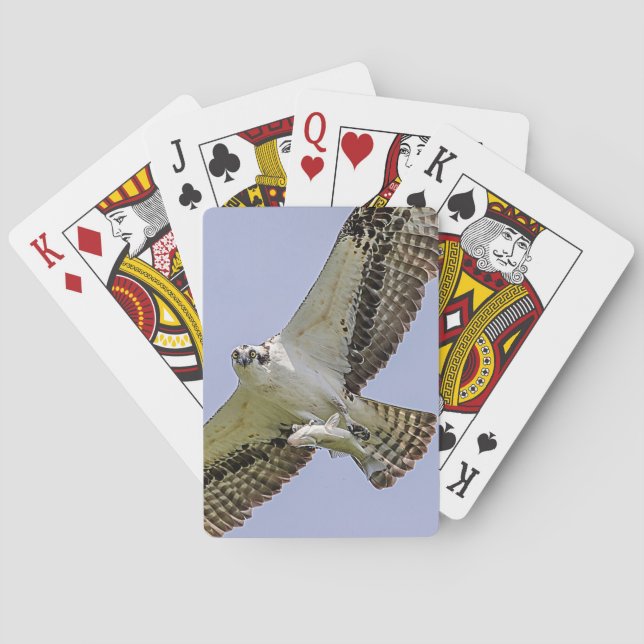 Osprey with a fish playing cards (Back)