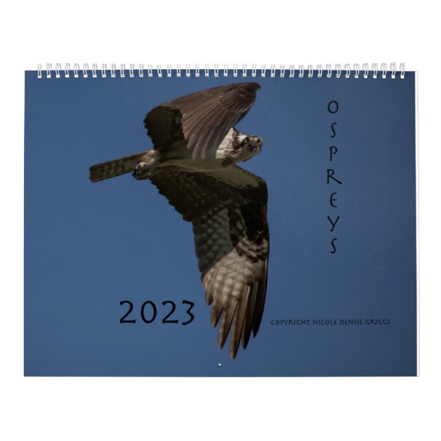Ospreys In Action 2023 Calendar (Cover)