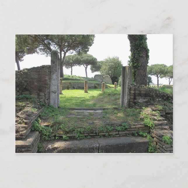Ostia Antica photo Postcard (Front)
