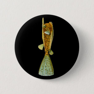 Ostracion cornutus (Boxfish), Haeckel Fine Art 6 Cm Round Badge