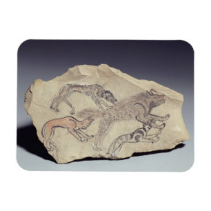 Ostracon depicting a dog chasing a hyena (limeston magnet