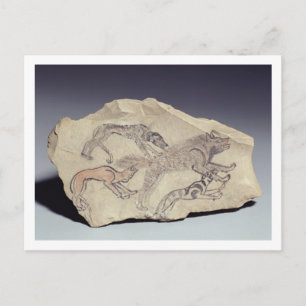 Ostracon depicting a dog chasing a hyena (limeston postcard