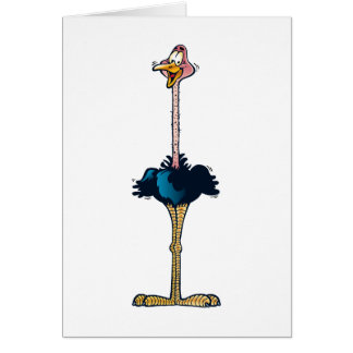 Ostrich