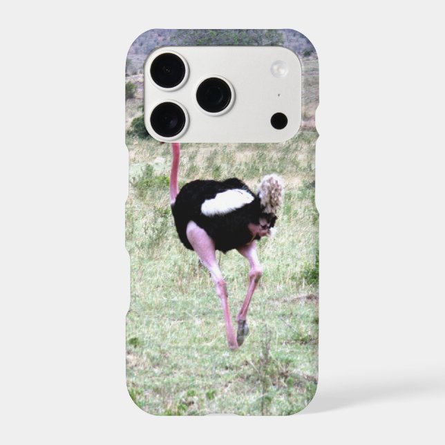 ostrich (Back)