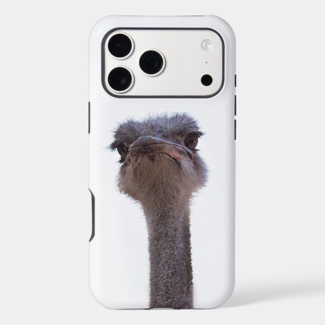 ostrich (Back)