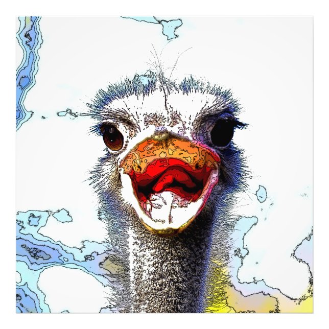 Ostrich20150701 Photo Print (Front)