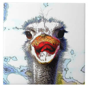 Ostrich20150701 Tile