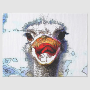 Ostrich20150701 Tissue Paper