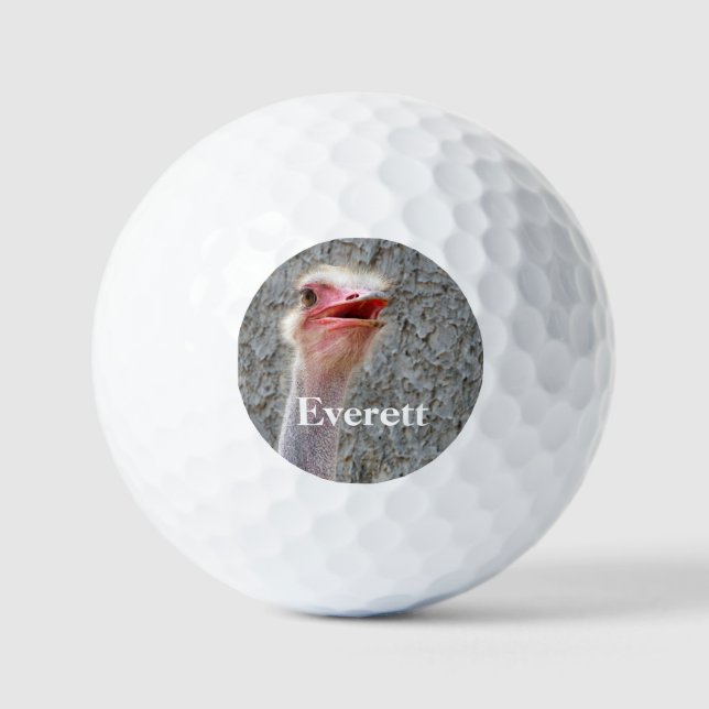 Ostrich animal bird wildlife personalizable golf balls (Front)