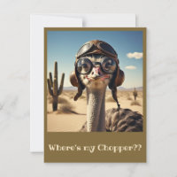 " OSTRICH AVIATOR "