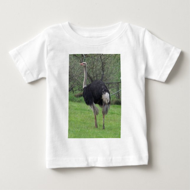Ostrich Baby T-Shirt (Front)