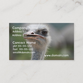 Ostrich Bird Business Card