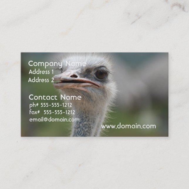 Ostrich Bird Business Card (Front)