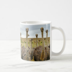 Ostrich Bird Coffee Mug
