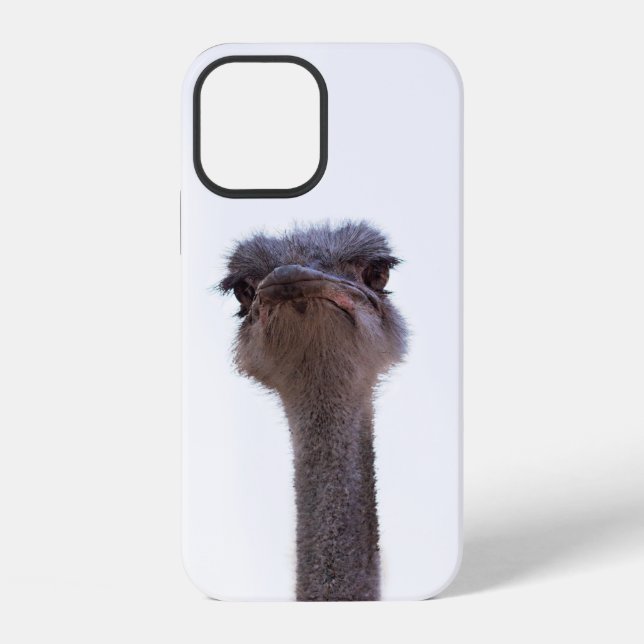 Ostrich Bird iPhone Case (Back)