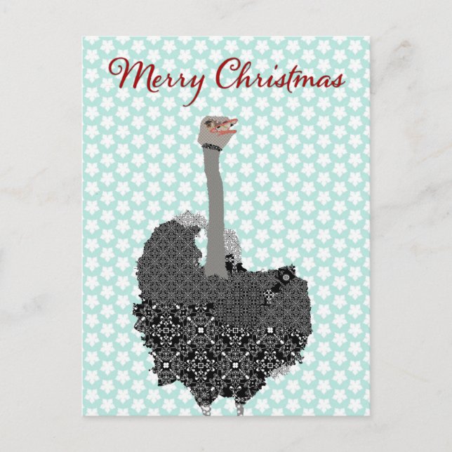 Ostrich Blue Star Postcard Christmas (Front)