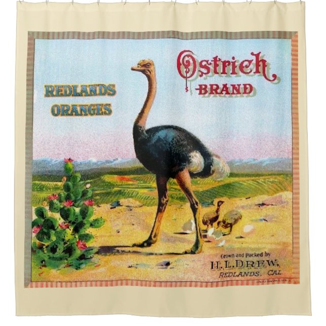 Ostrich Brand Shower Curtain (Front)