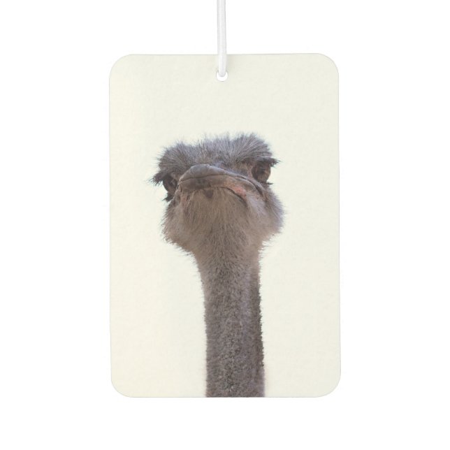 ostrich car air freshener (Front)