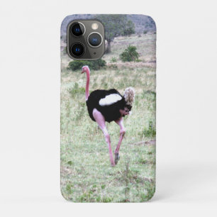 ostrich Case-Mate iPhone case