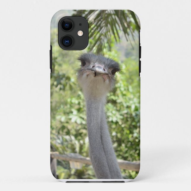 Ostrich Case-Mate iPhone Case (Back)