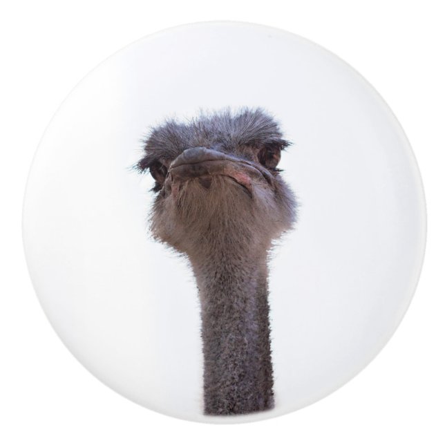 ostrich ceramic knob (Front)