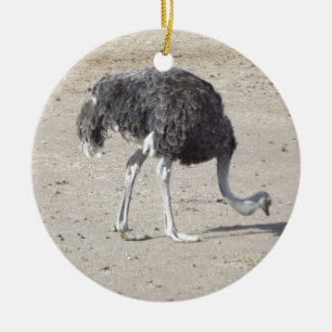 Ostrich Ceramic Tree Decoration