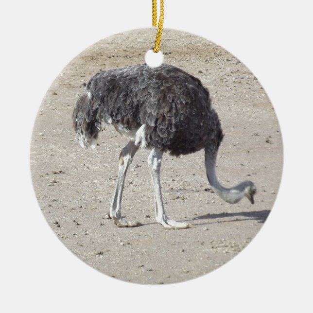 Ostrich Ceramic Tree Decoration (Front)
