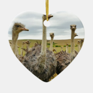 ostrich ceramic tree decoration