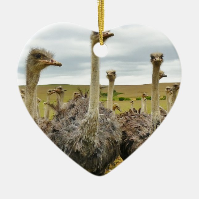 ostrich ceramic tree decoration (Front)