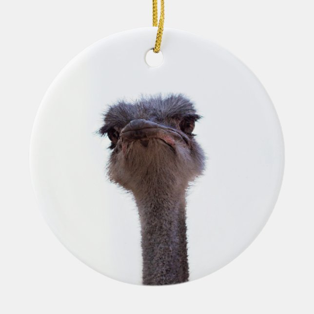 ostrich ceramic tree decoration (Front)