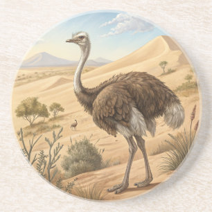 ostrich coaster