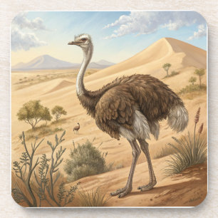 ostrich coaster