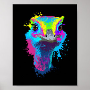 Ostrich Colorful Bird Lover Ostriches Poster