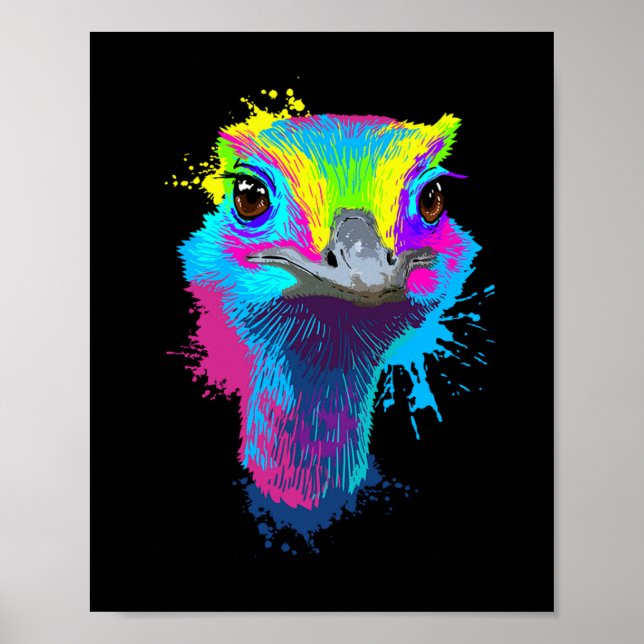 Ostrich Colorful Bird Lover Ostriches Poster (Front)