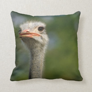 Ostrich Cushion