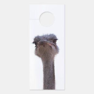 ostrich door hanger