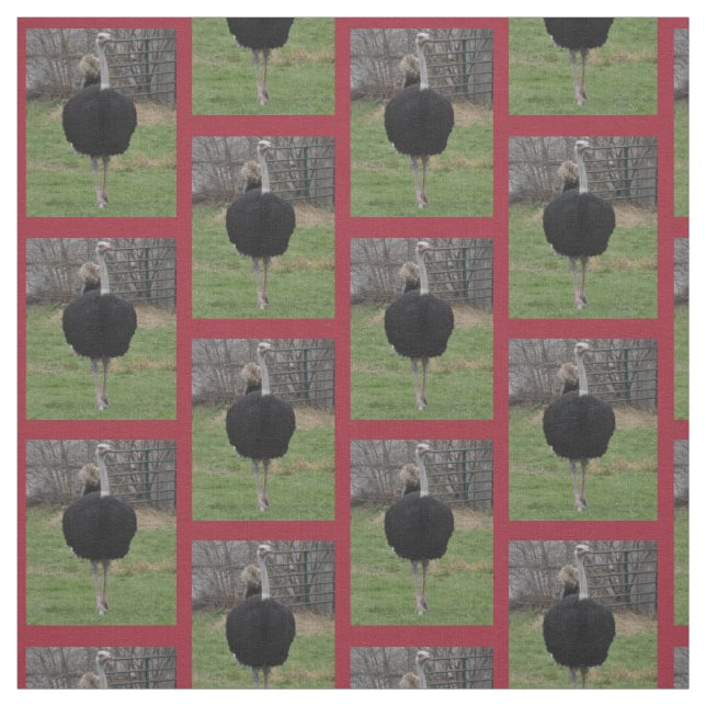 Ostrich Fabric (Swatch)