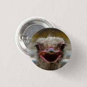 Ostrich Face Close-up 3 Cm Round Badge