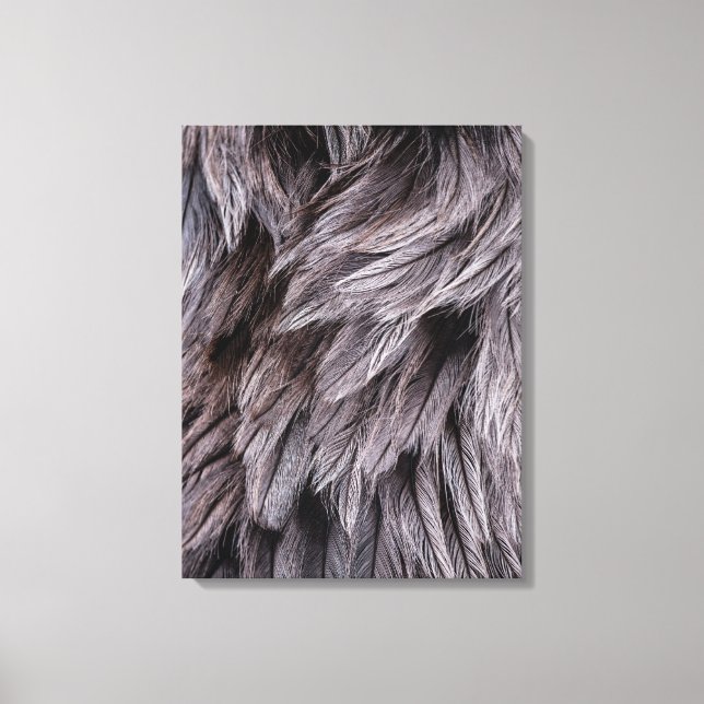 Ostrich Feathers Canvas Print (Front)