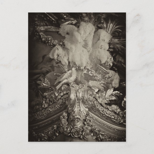 Ostrich feathers, Marie Antoinette's bed. Postcard (Front)