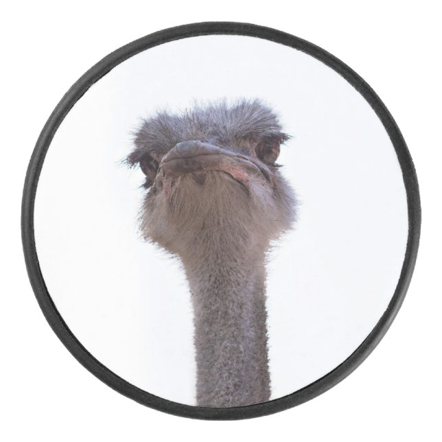 ostrich hockey puck (Front)