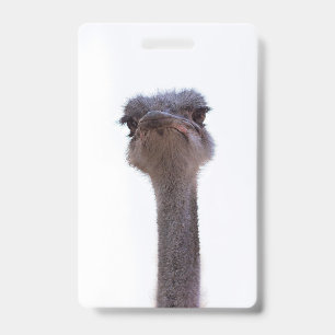 ostrich ID badge