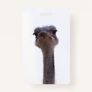 ostrich ID badge