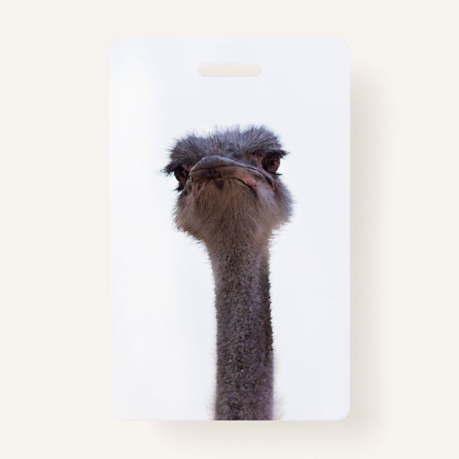 ostrich ID badge (Front)